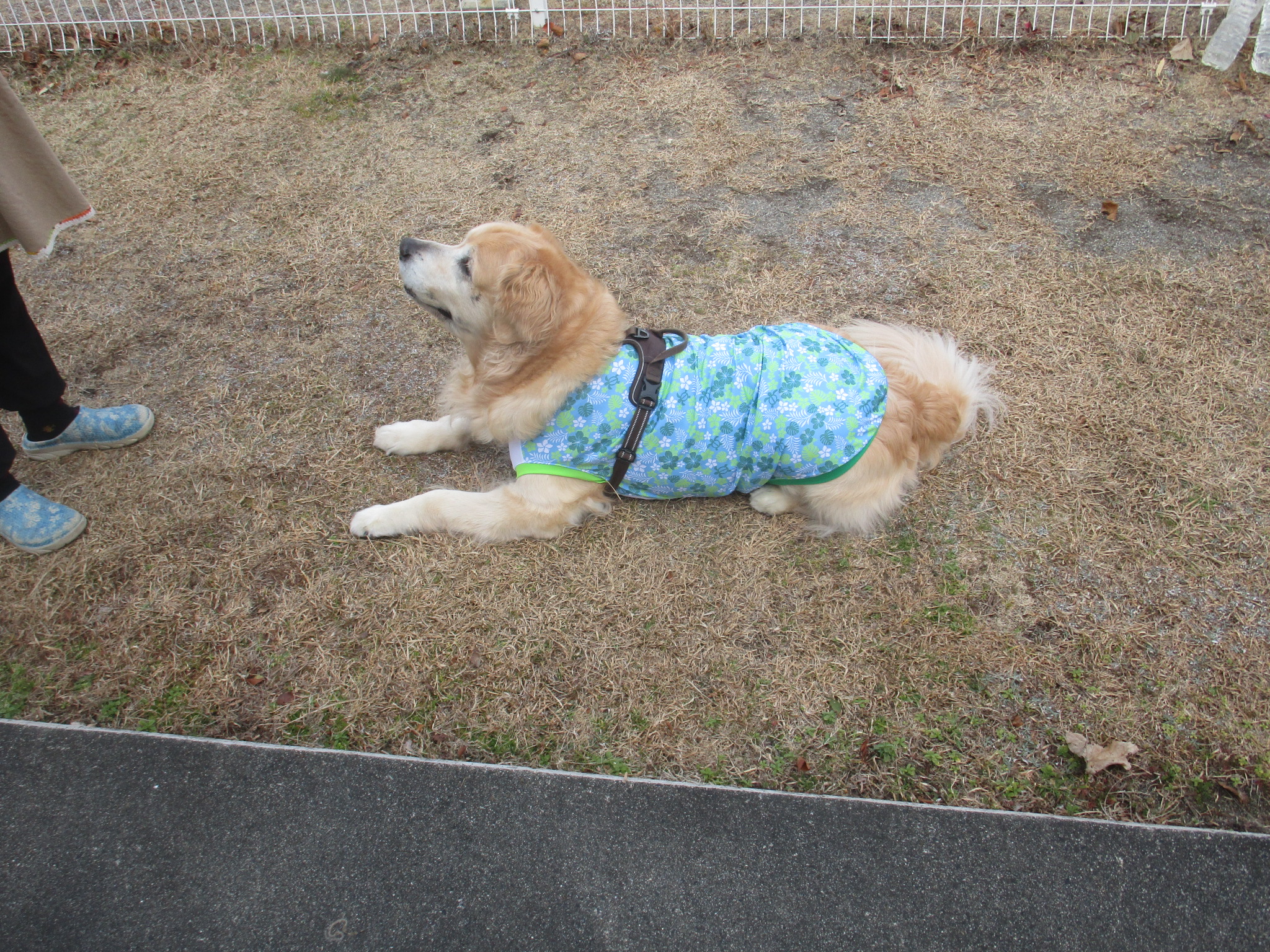 大和くん(Ⅴ) 大和くん(Ⅴ)