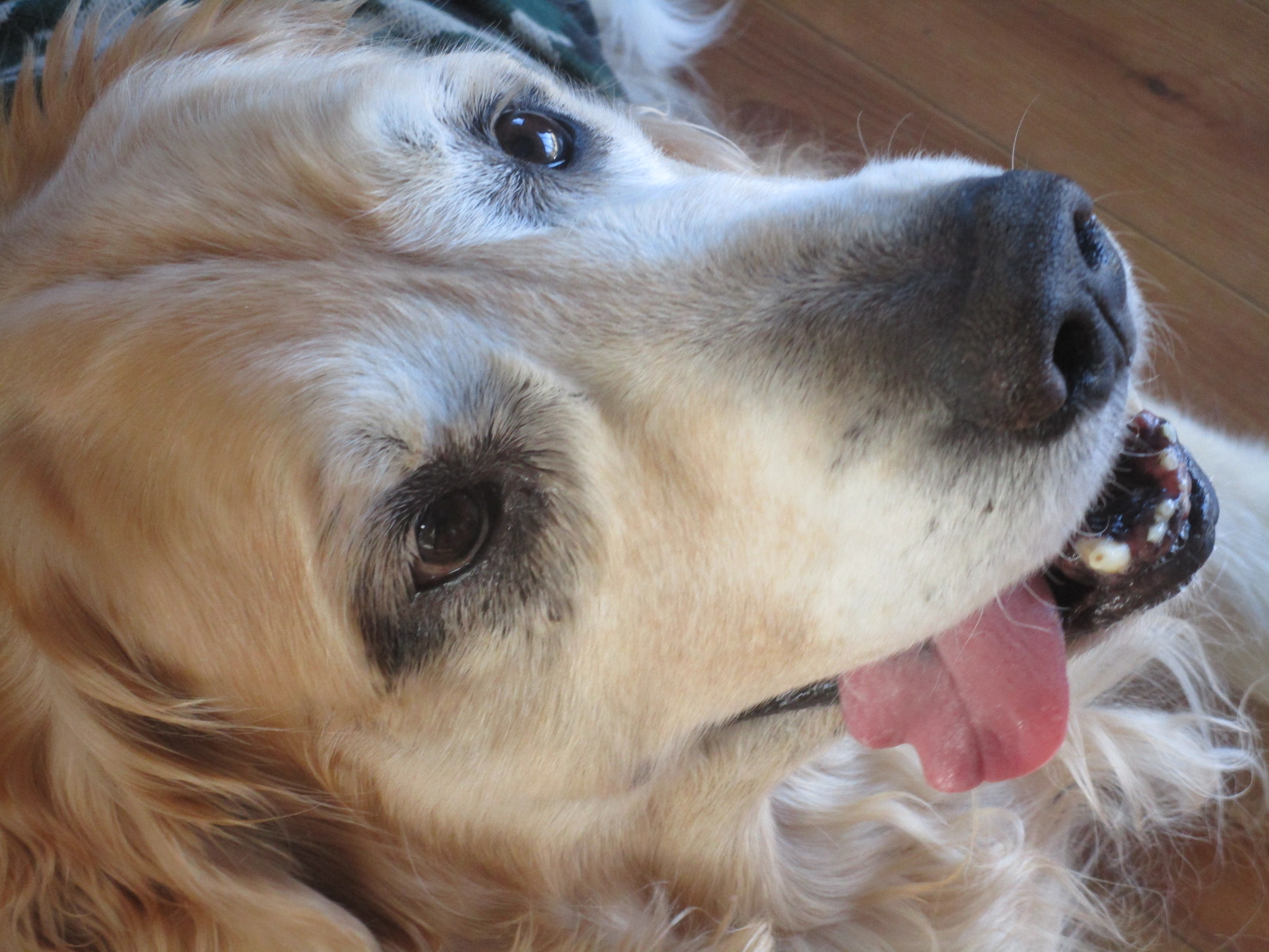 大和くん(Ⅴ) 大和くん(Ⅴ)