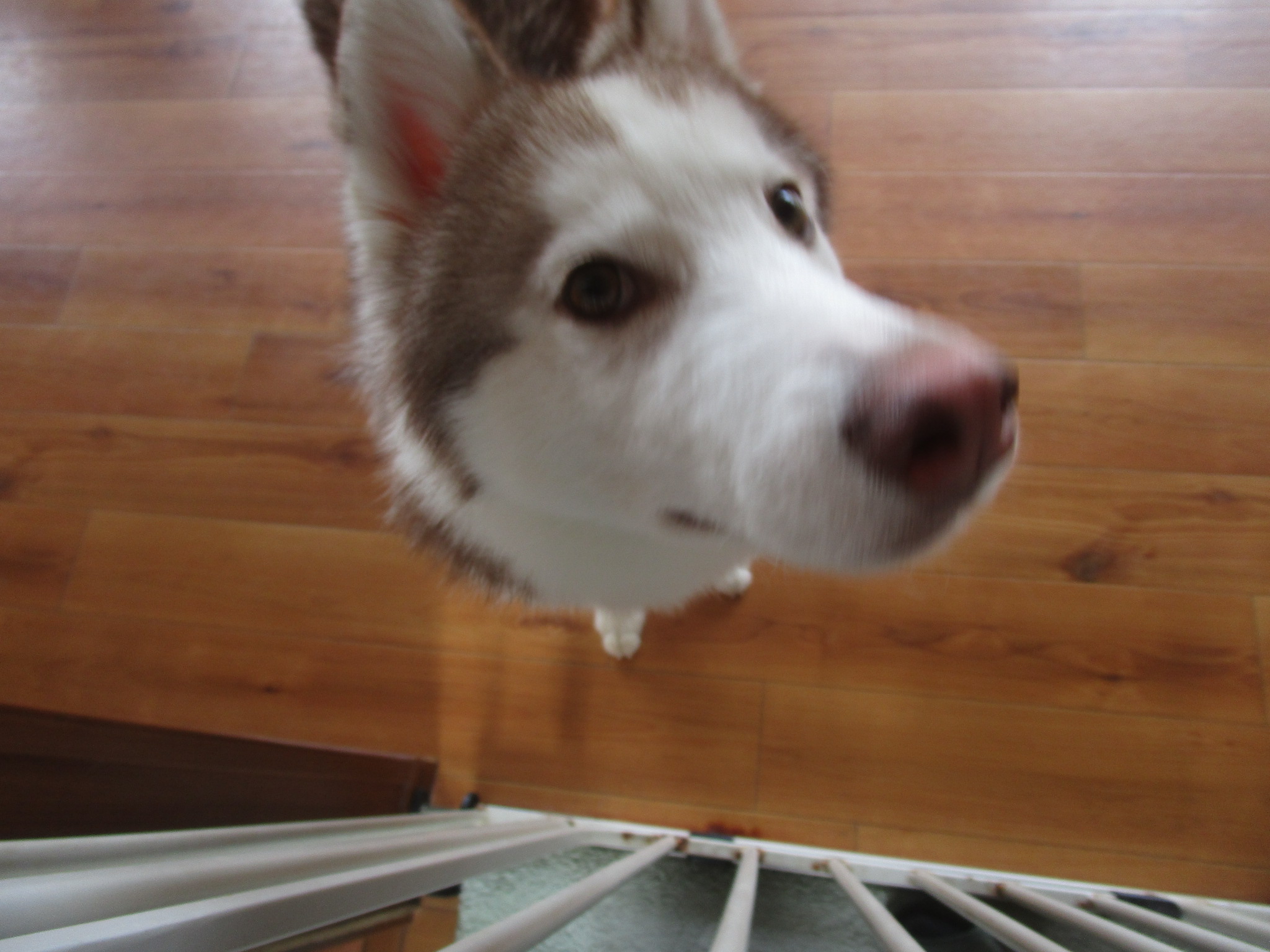 暖くん(2) 暖くん(2)