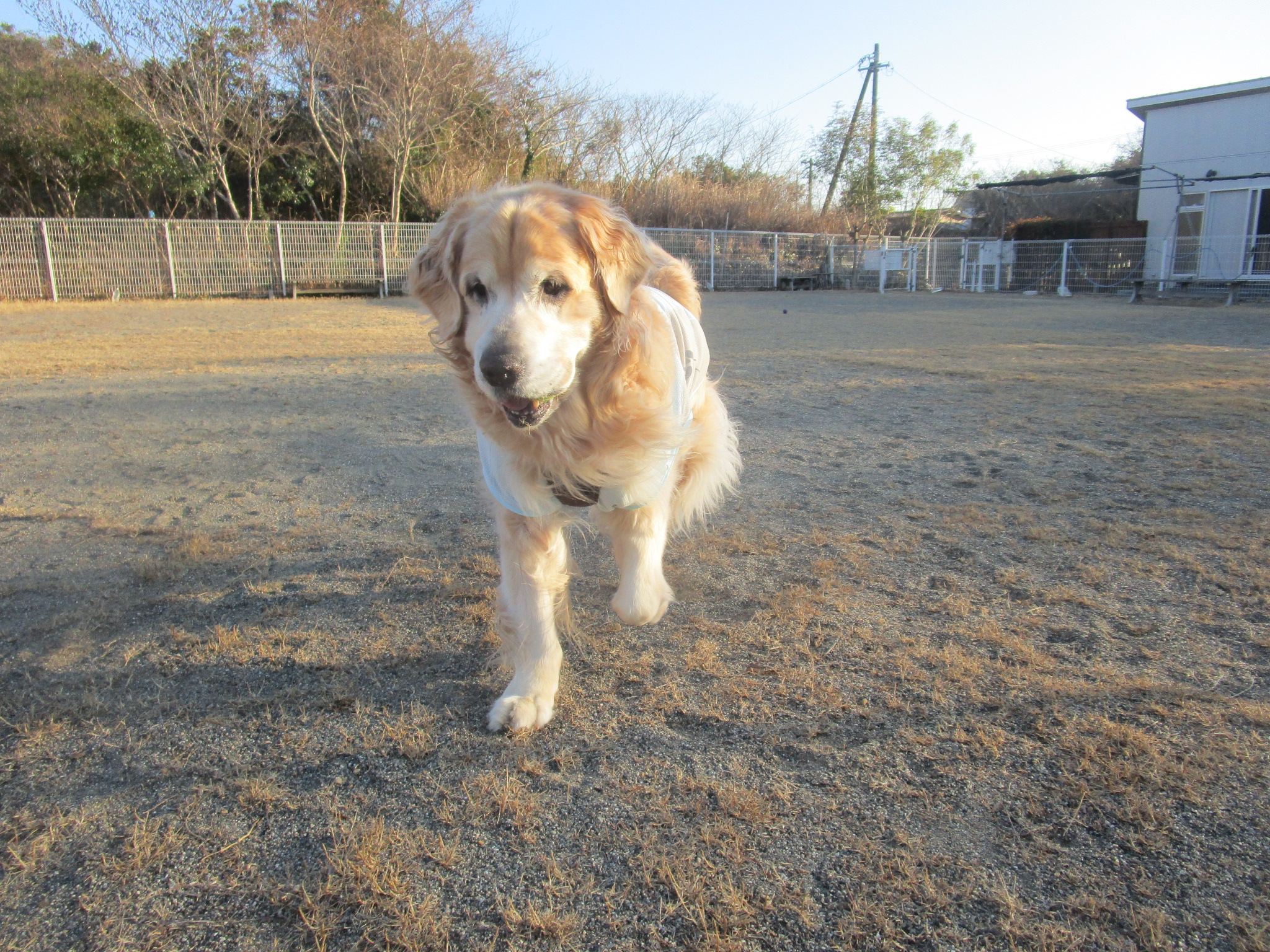 大和くん（Ⅴ）