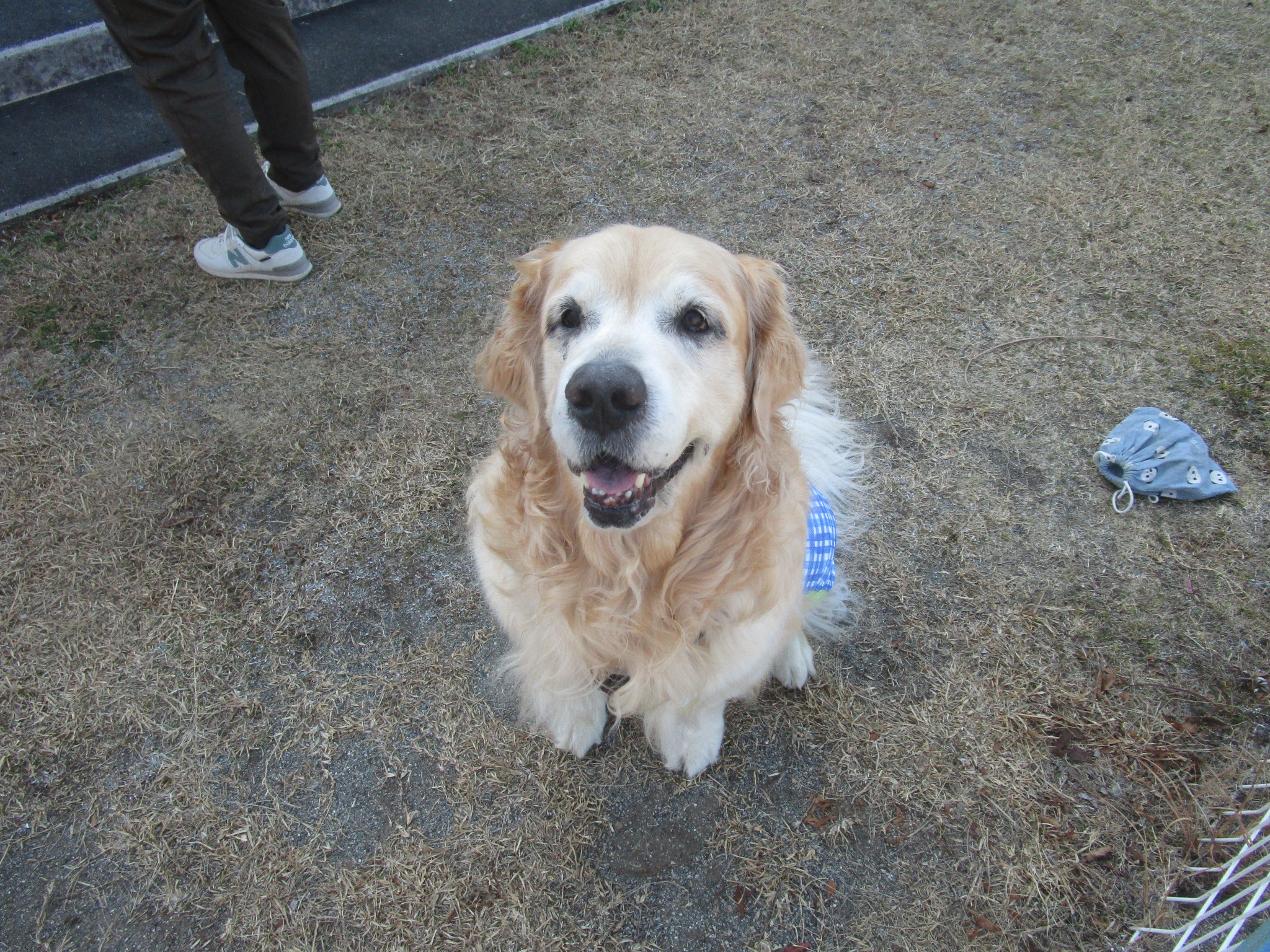 大和くん(Ⅴ) 大和くん(Ⅴ)