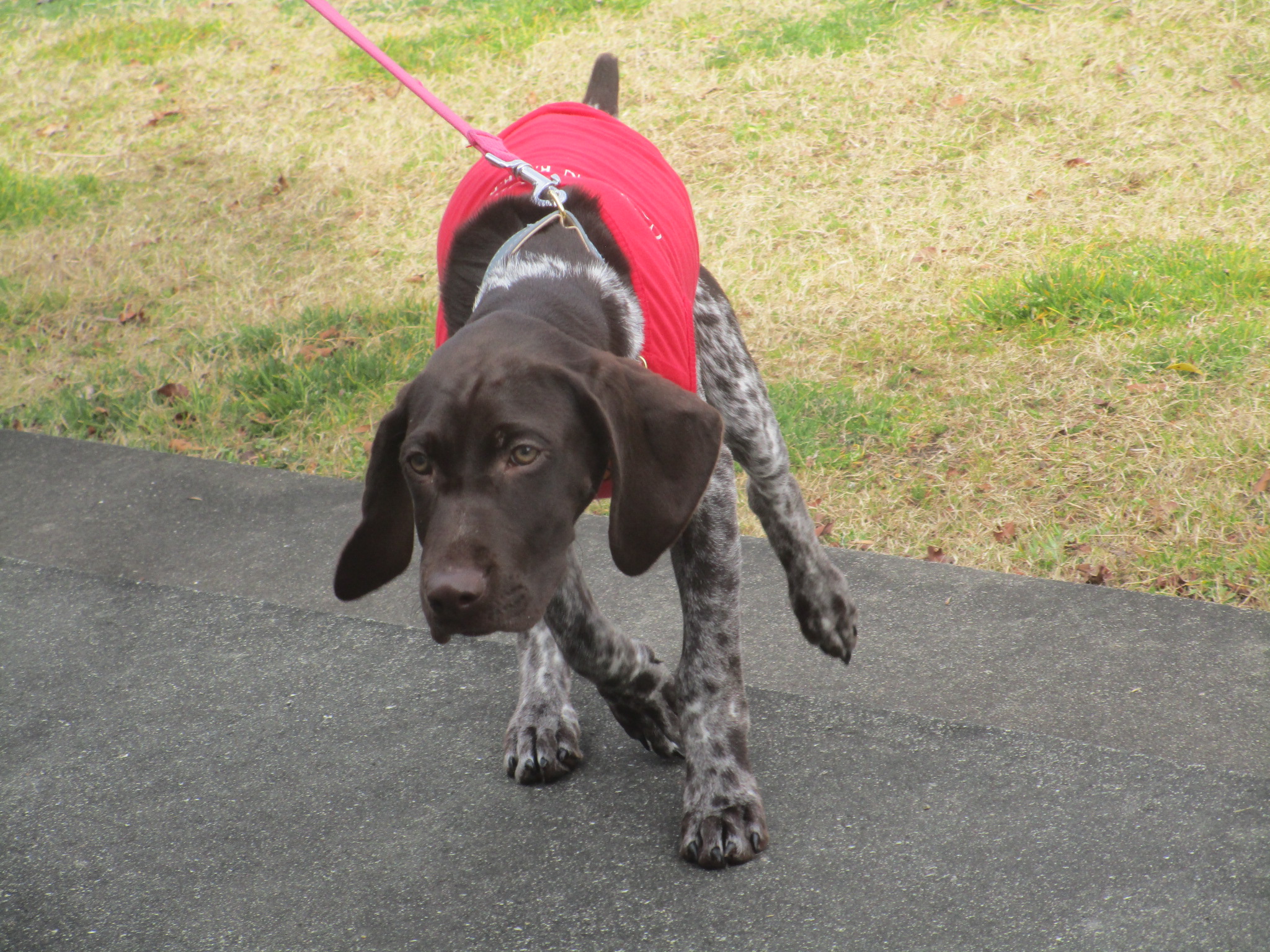 ベルナちゃん（３）