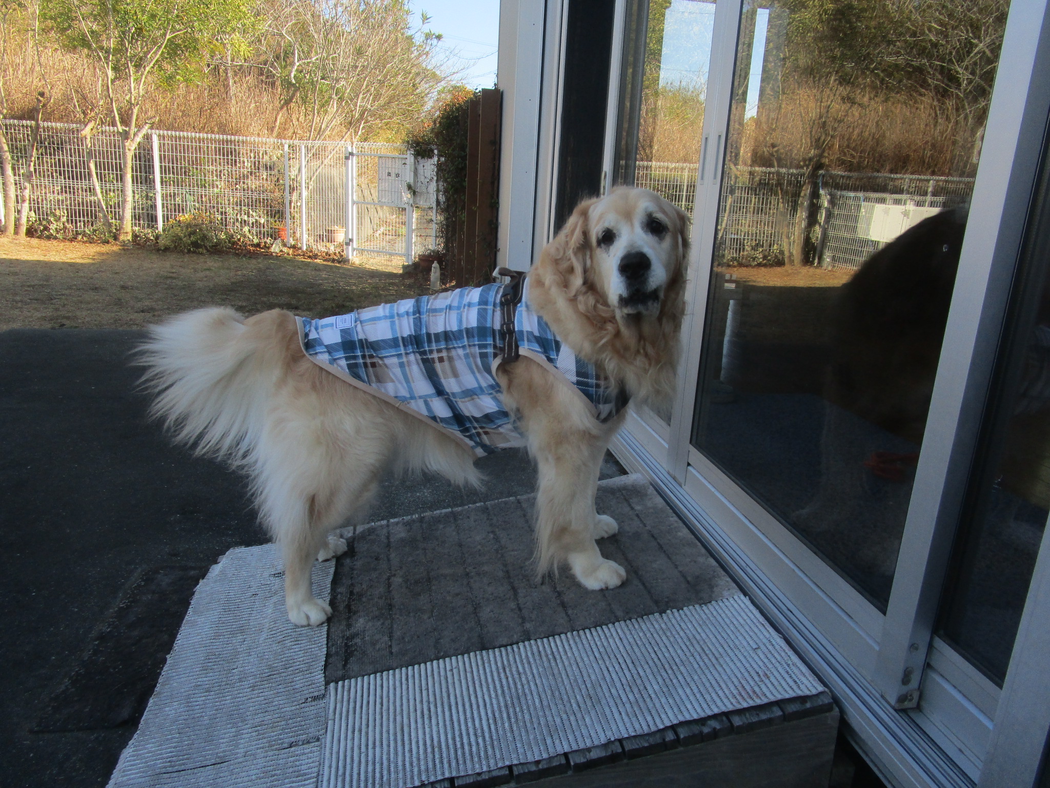 大和くん（Ⅴ）