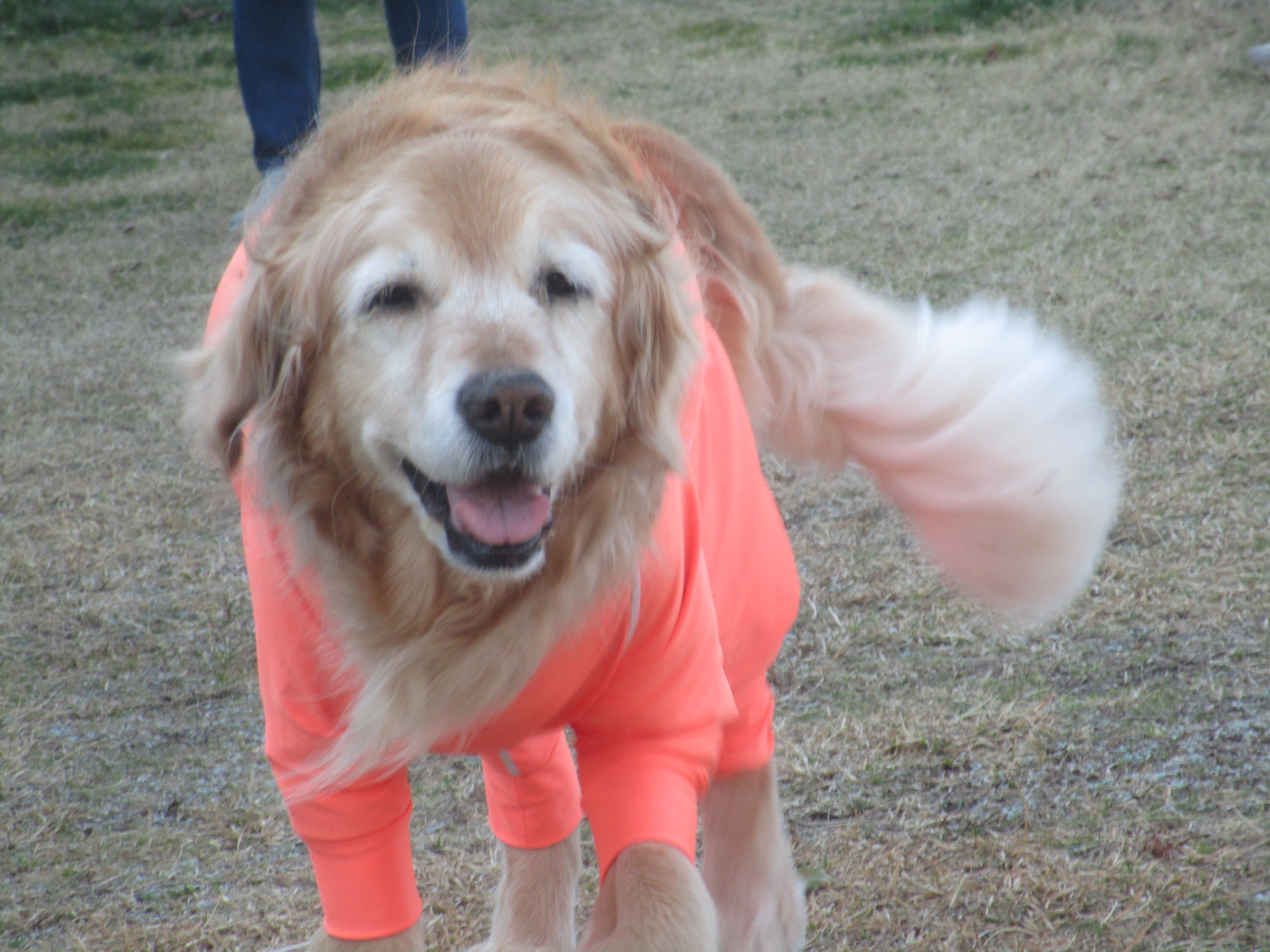 ももちゃん（Ⅴ）