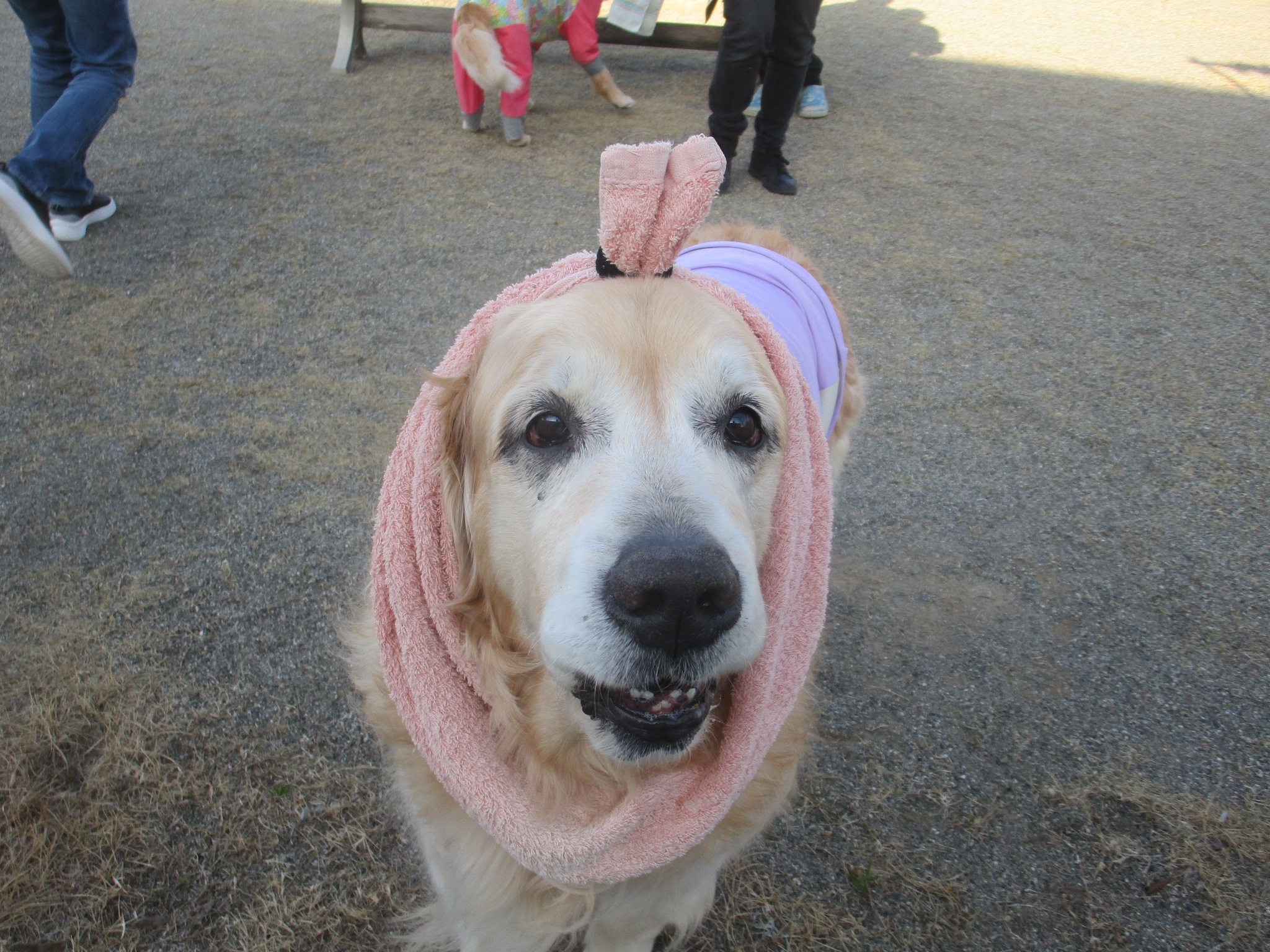 大和くん（Ⅴ）