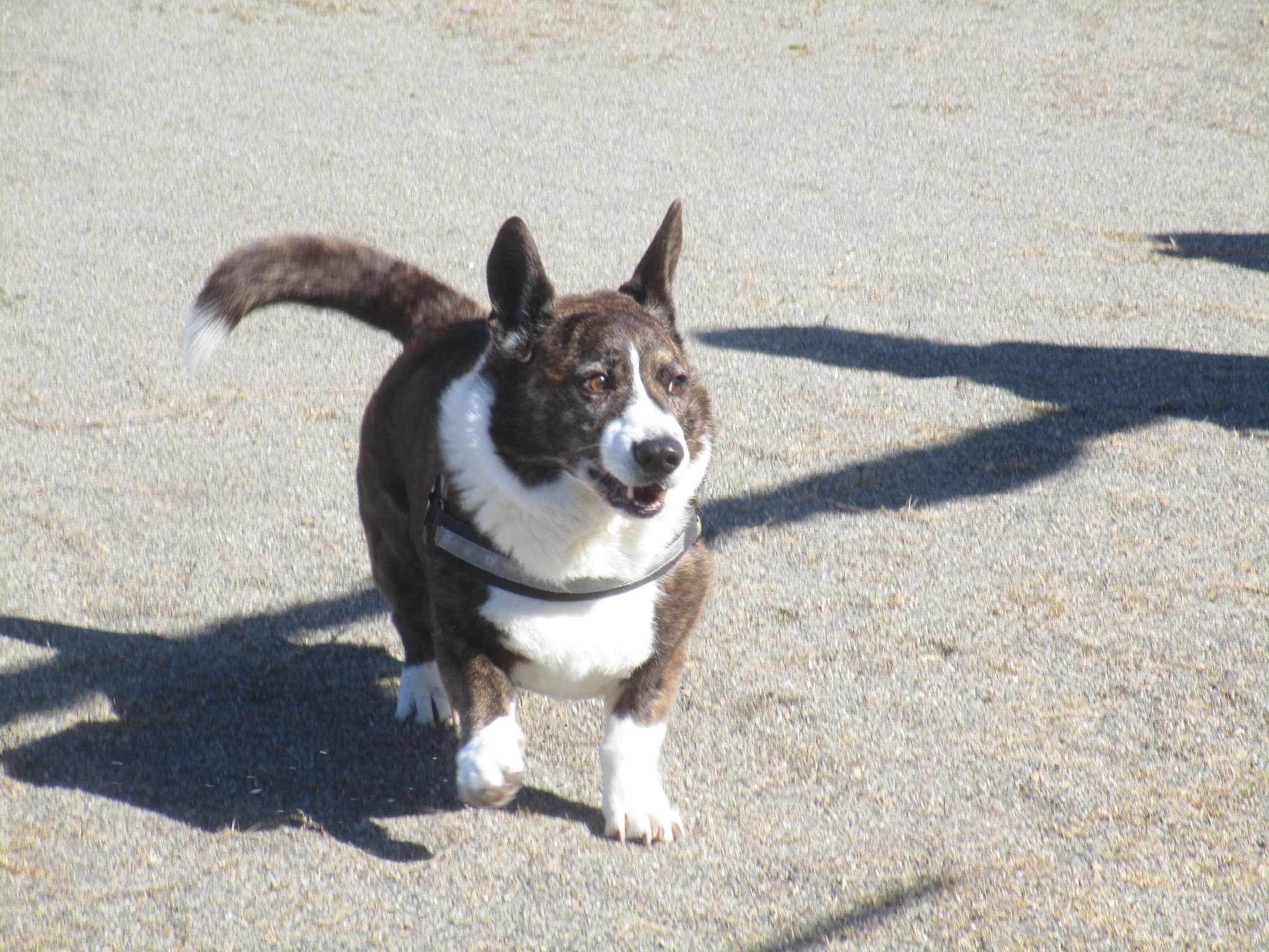 ハルくん（２５）