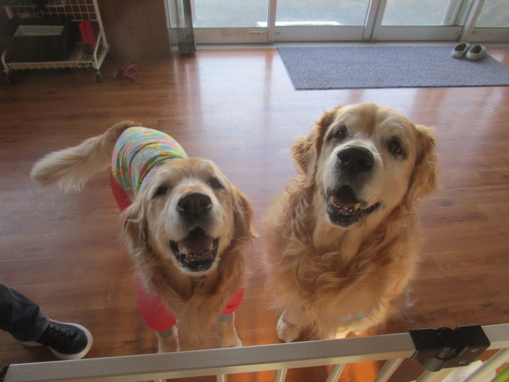 大和くん（Ⅴ）