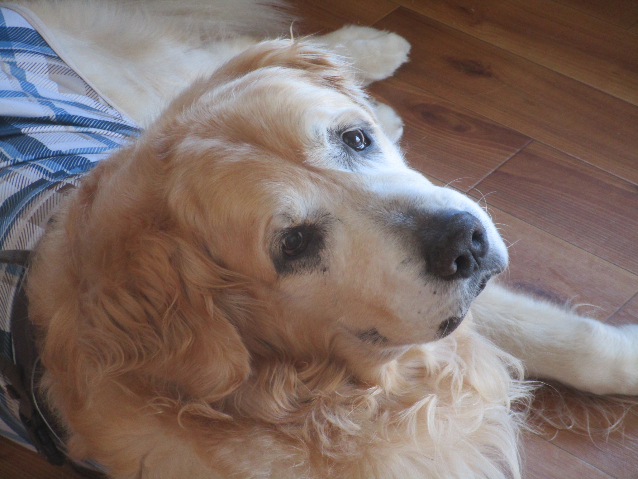 大和くん(Ⅴ) 大和くん(Ⅴ)