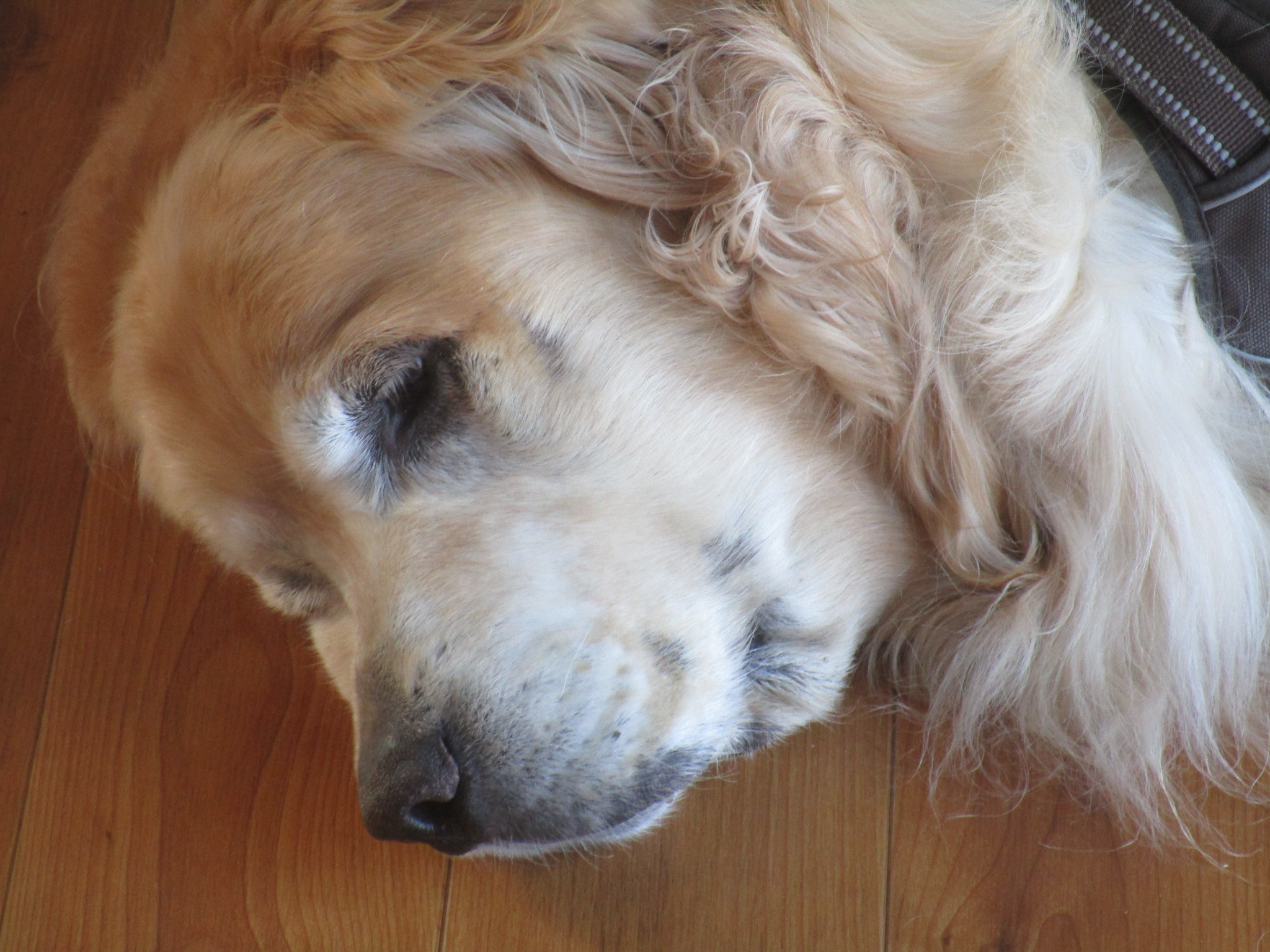 大和くん（Ⅴ）