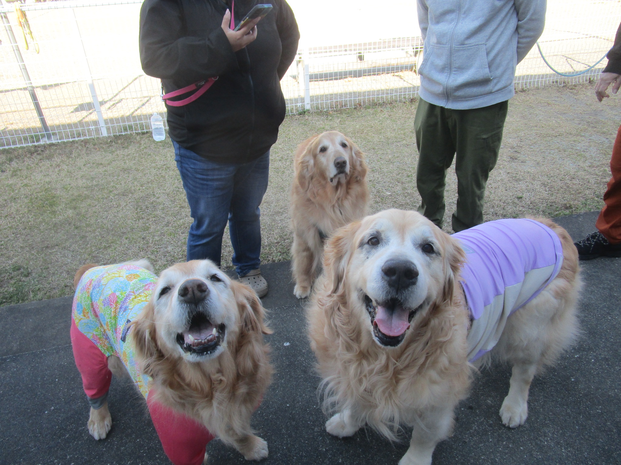 大和くん(Ⅴ) 大和くん(Ⅴ)