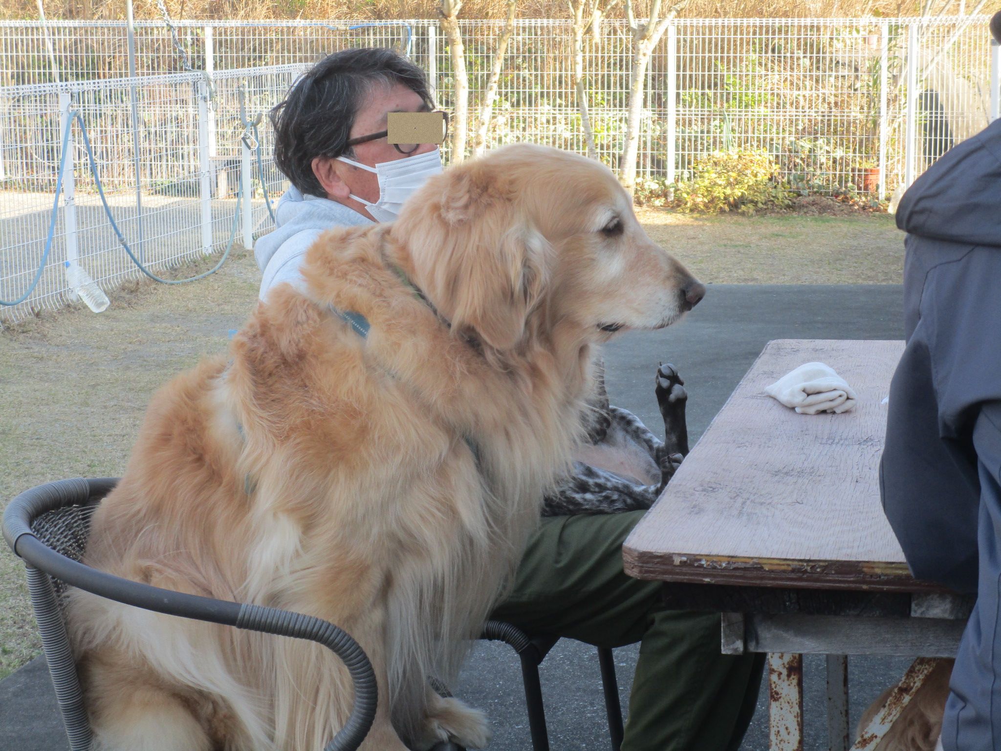 ハリーくん(V) ハリーくん(V)