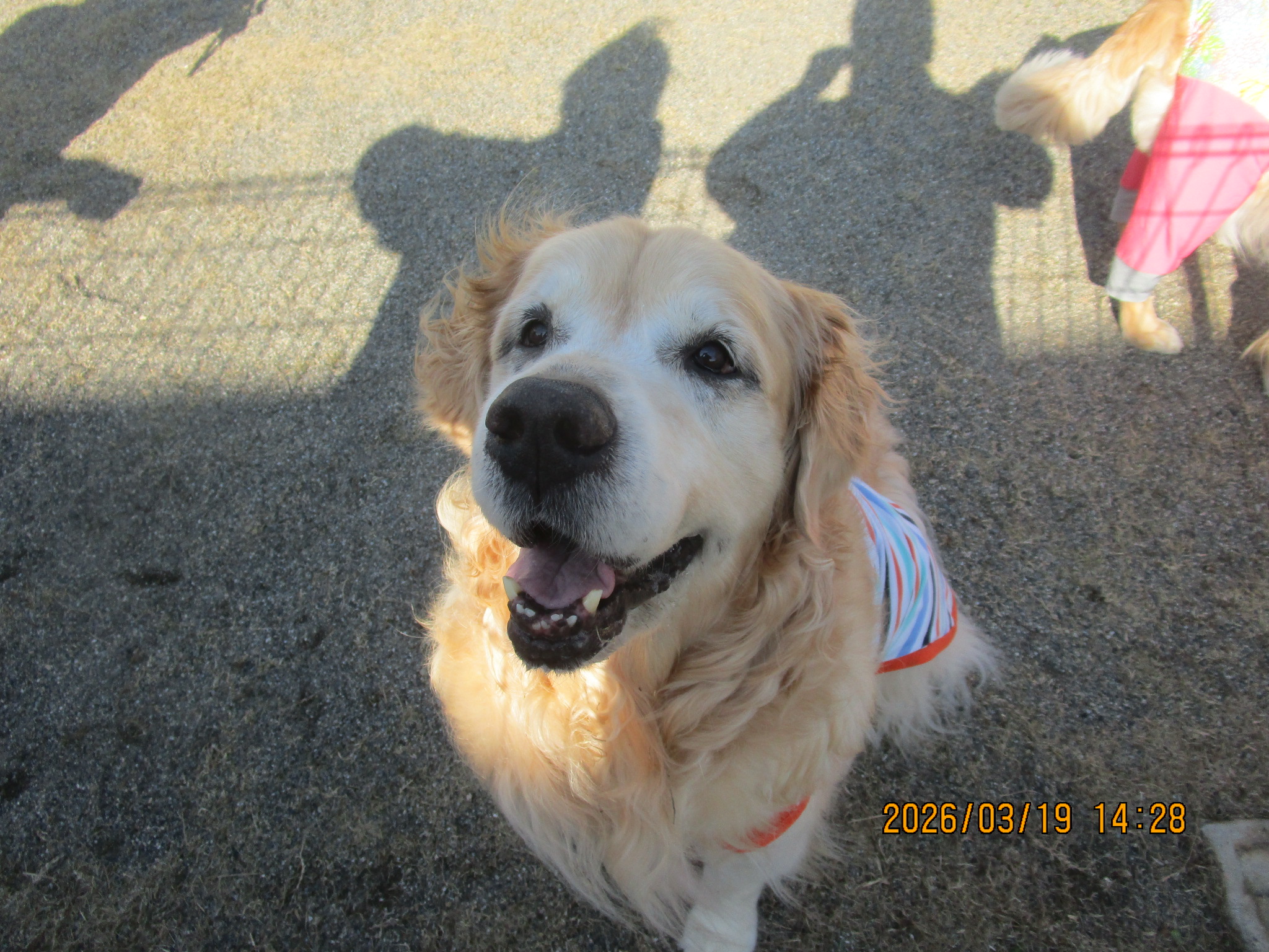 大和くん（Ⅴ）