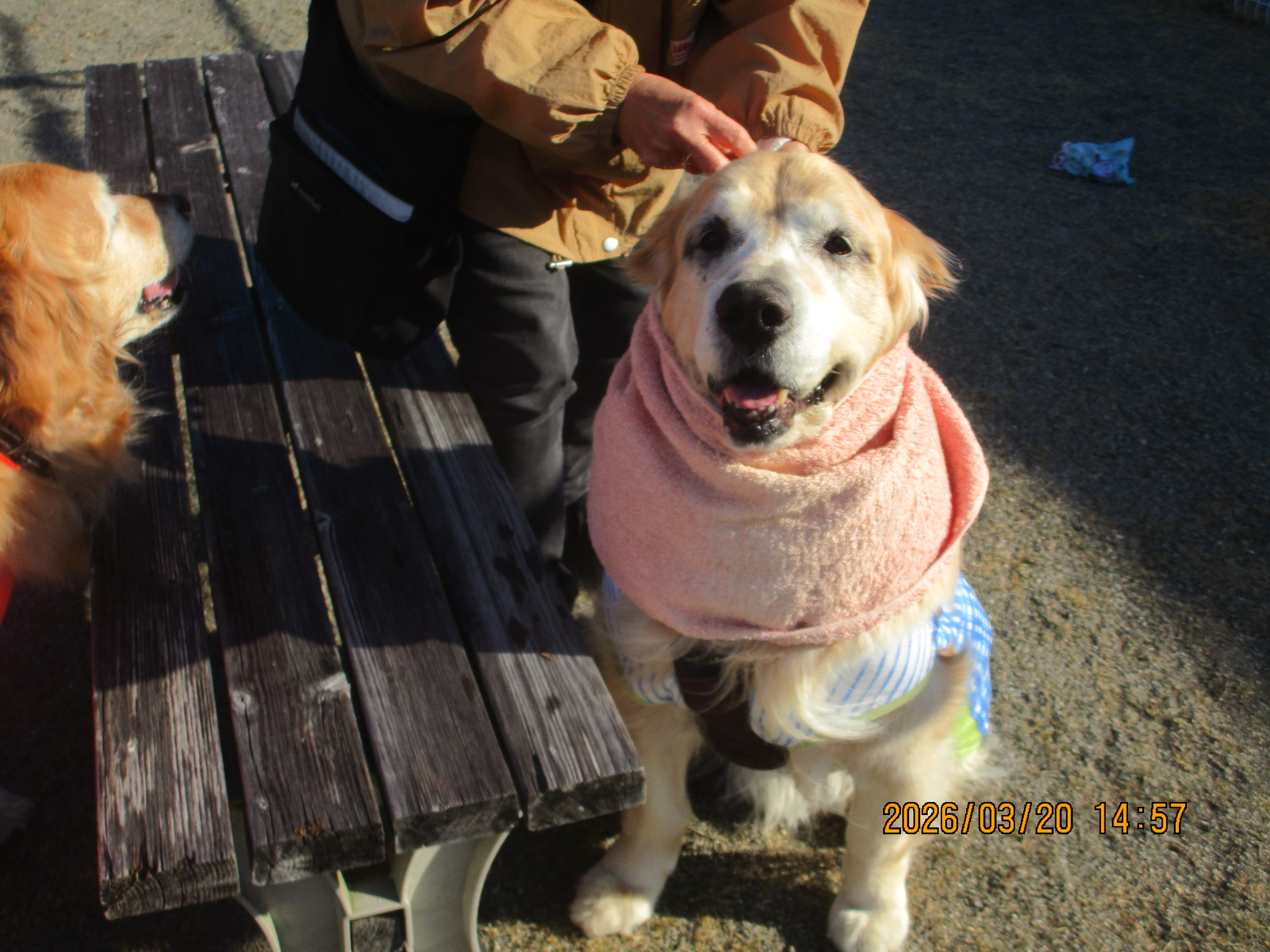 大和くん（Ⅴ）