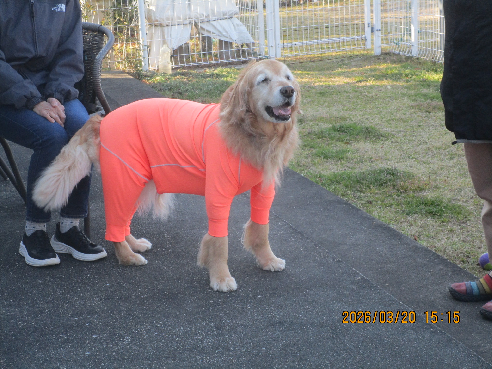 ももちゃん（Ⅴ）