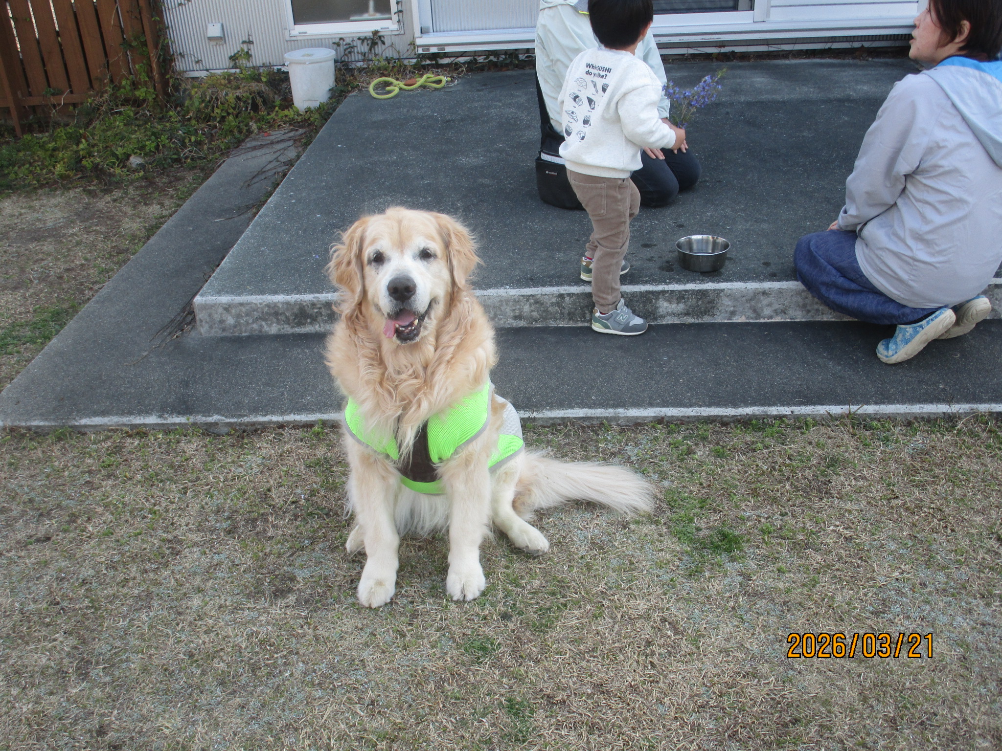 大和くん(Ⅴ) 大和くん(Ⅴ)