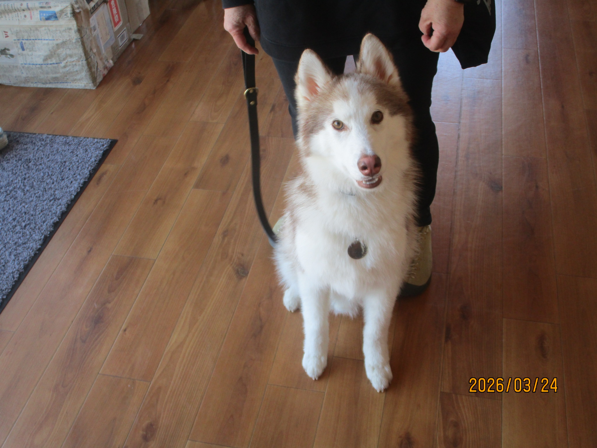 暖くん(6) 暖くん(6)