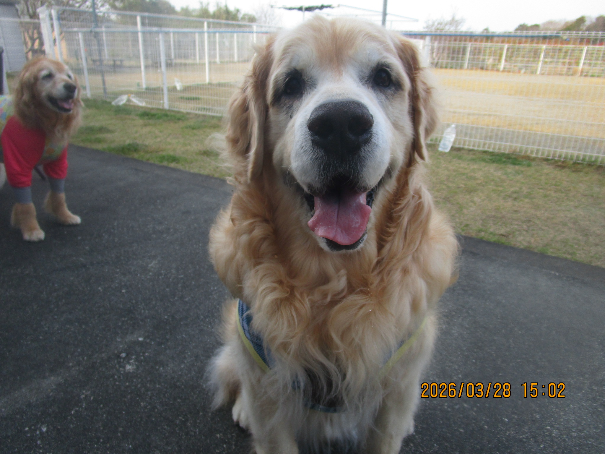 大和くん（Ⅴ）