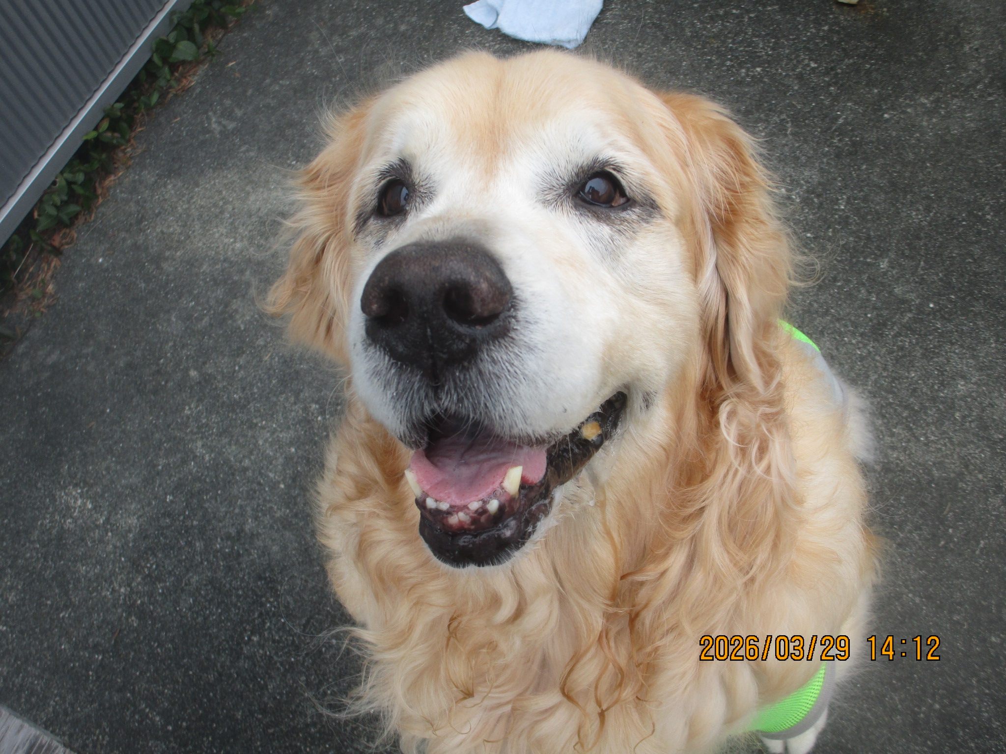 大和くん(Ⅴ) 大和くん(Ⅴ)