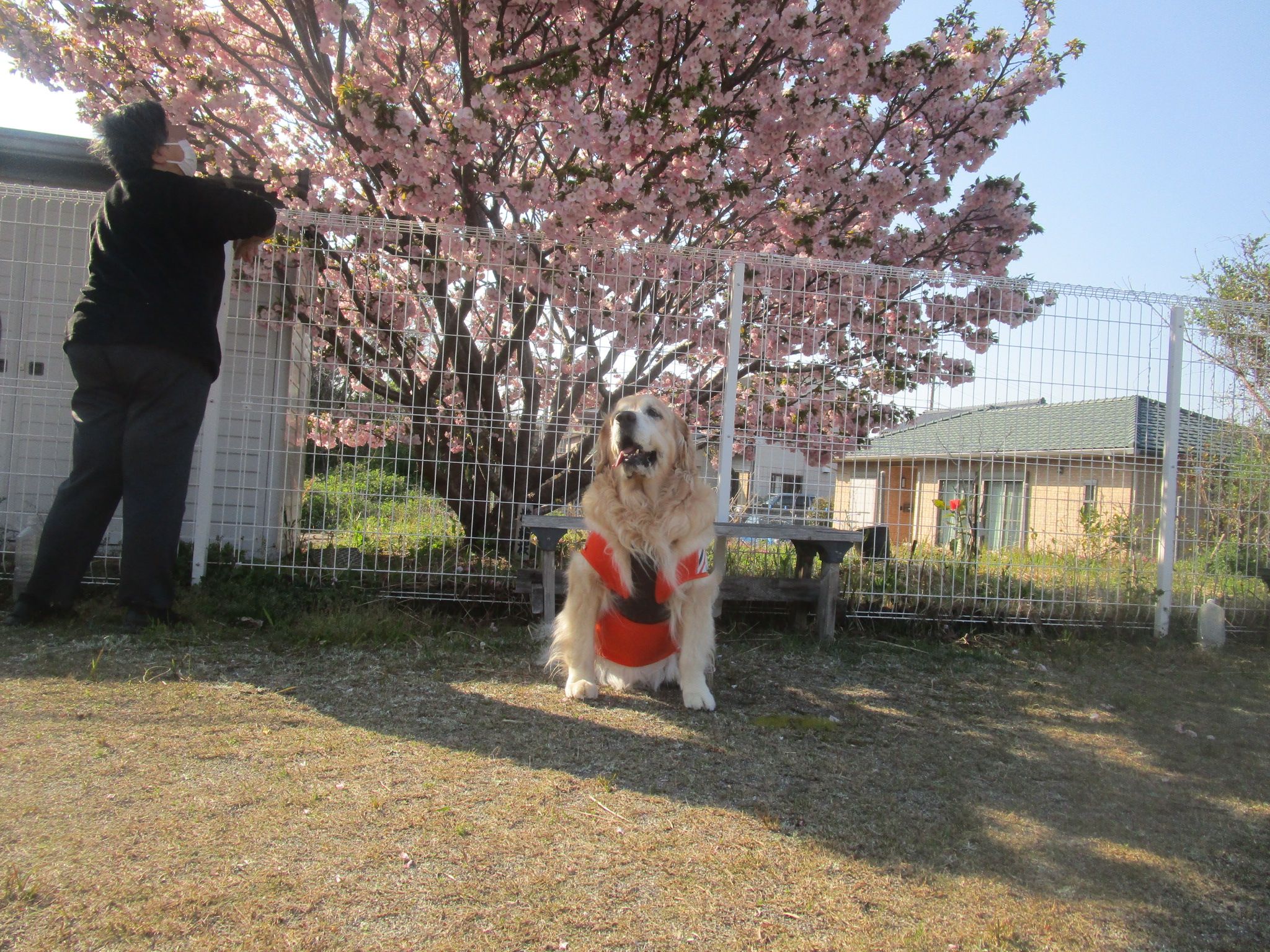 大和くん（Ⅴ）