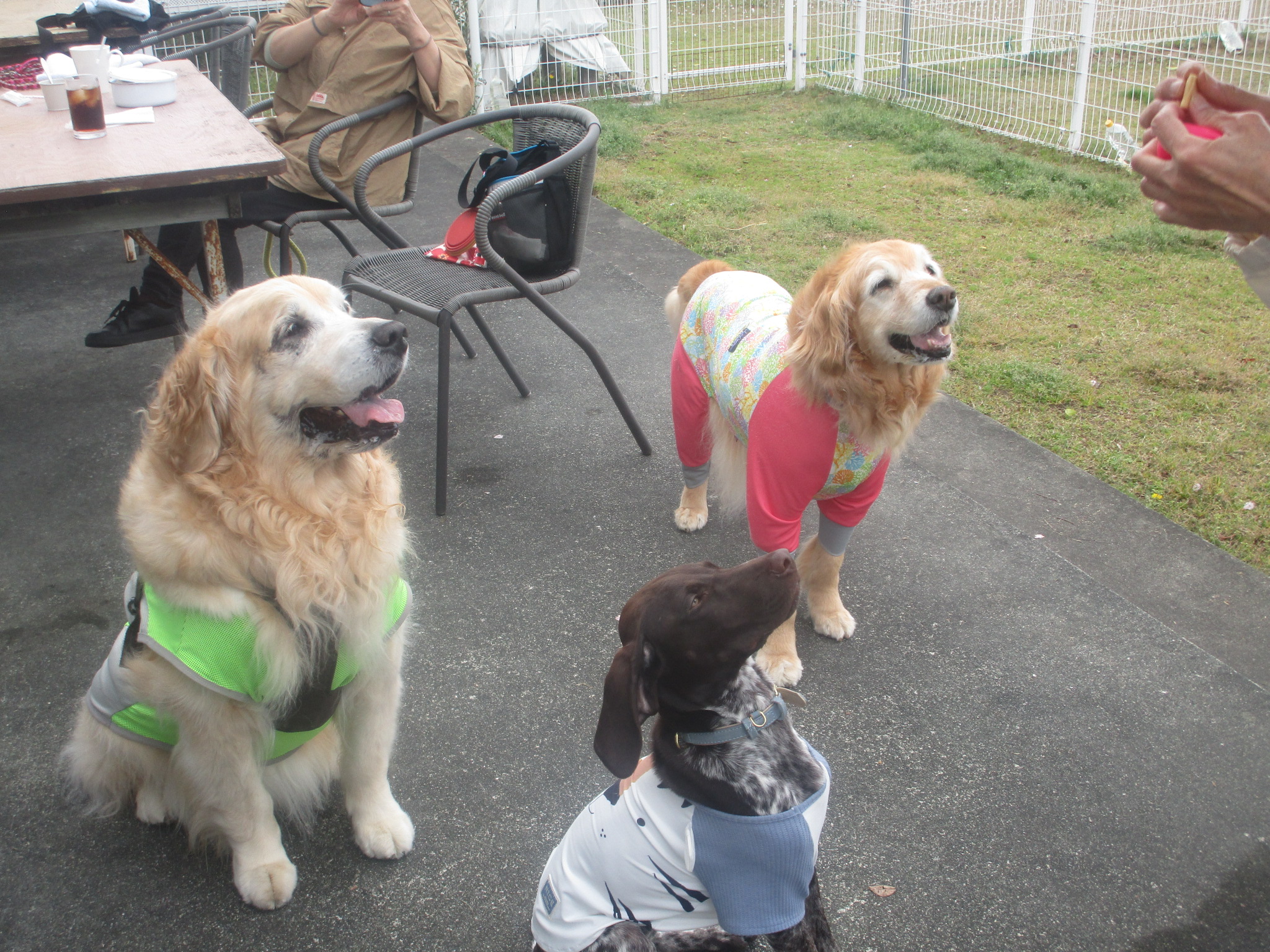 大和くん(Ⅴ) 大和くん(Ⅴ)