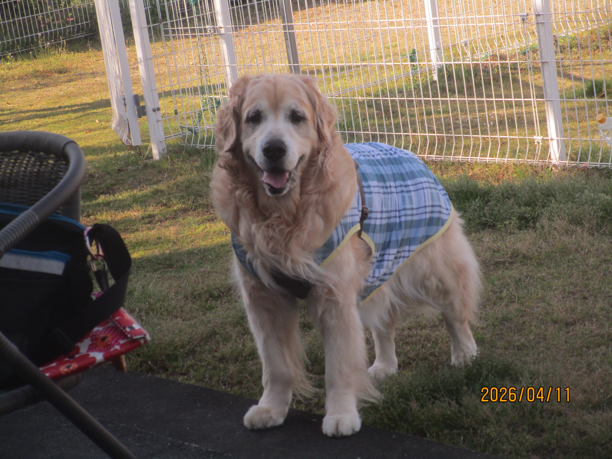 大和くん（Ⅴ）