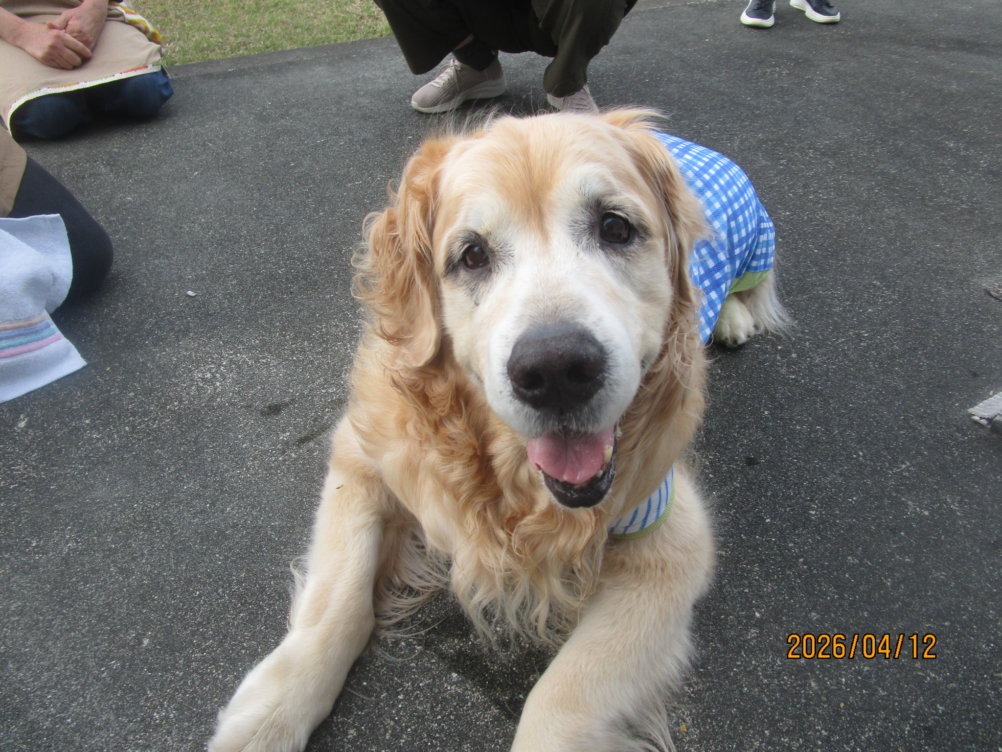 大和くん(Ⅴ) 大和くん(Ⅴ)