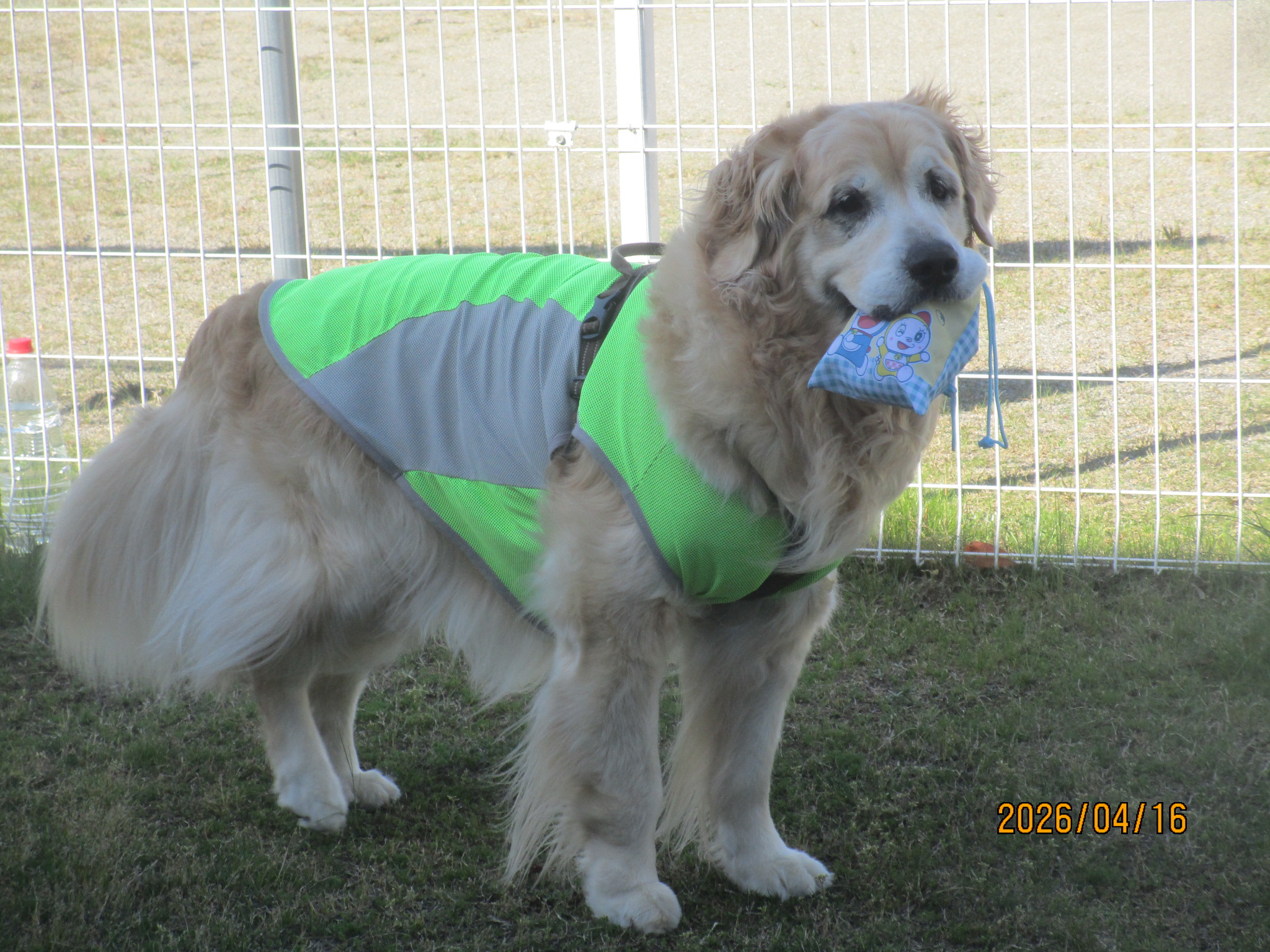 大和くん（Ⅴ）