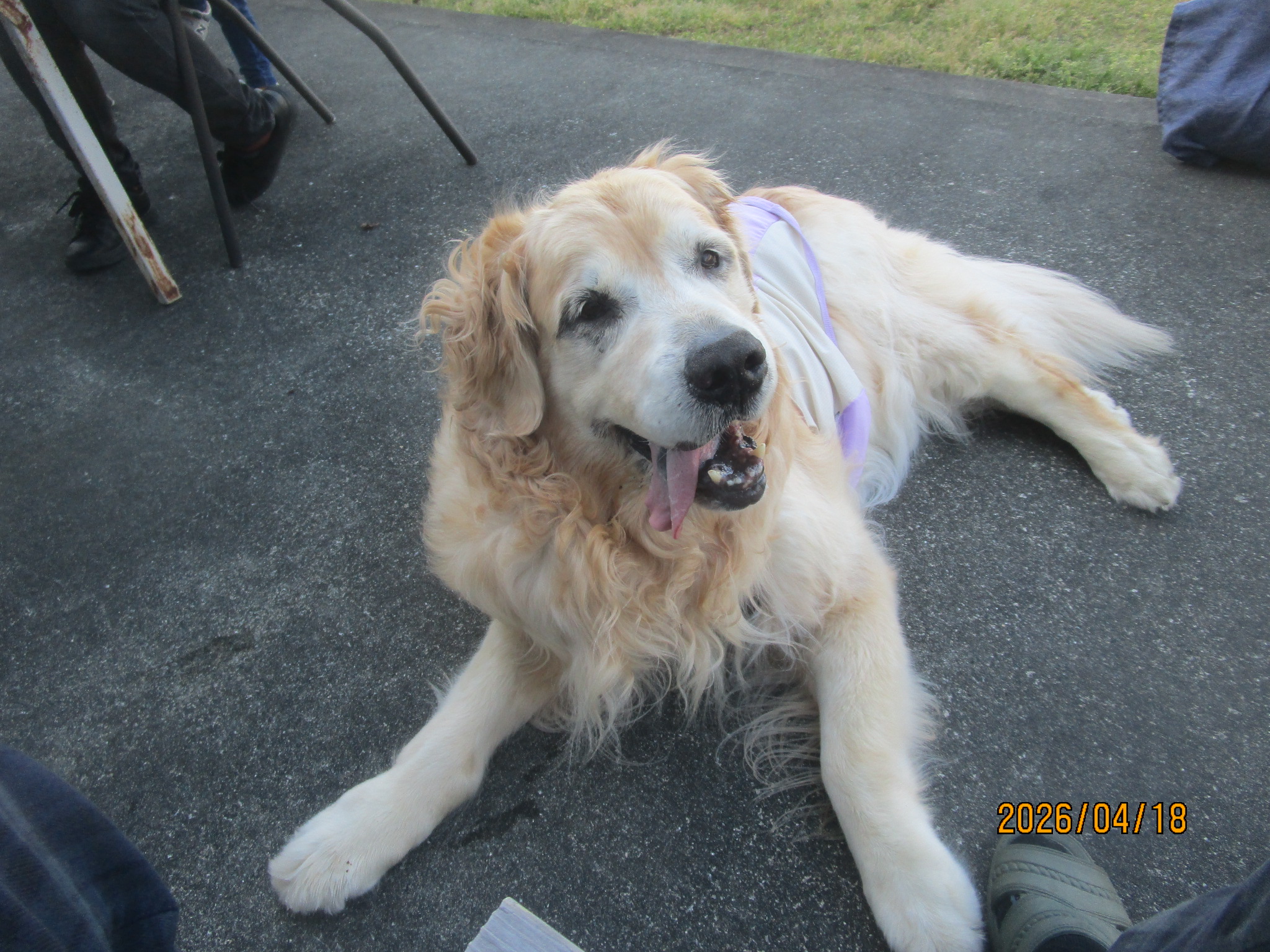 大和くん（Ⅴ）