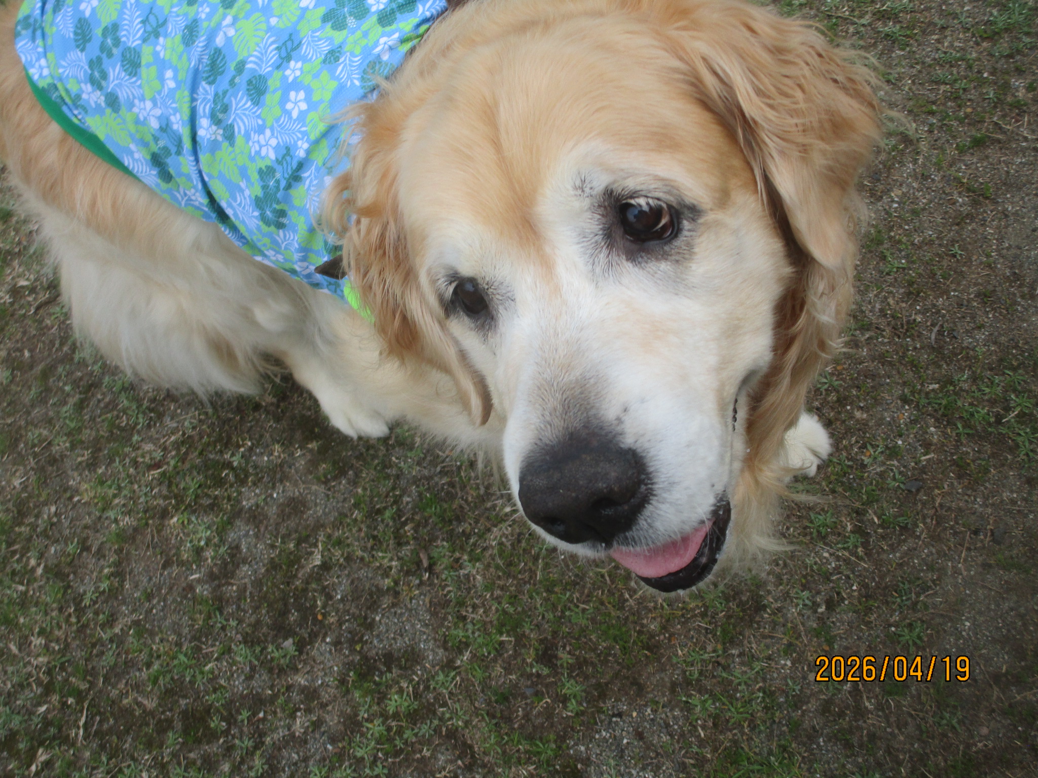 大和くん（Ⅴ）