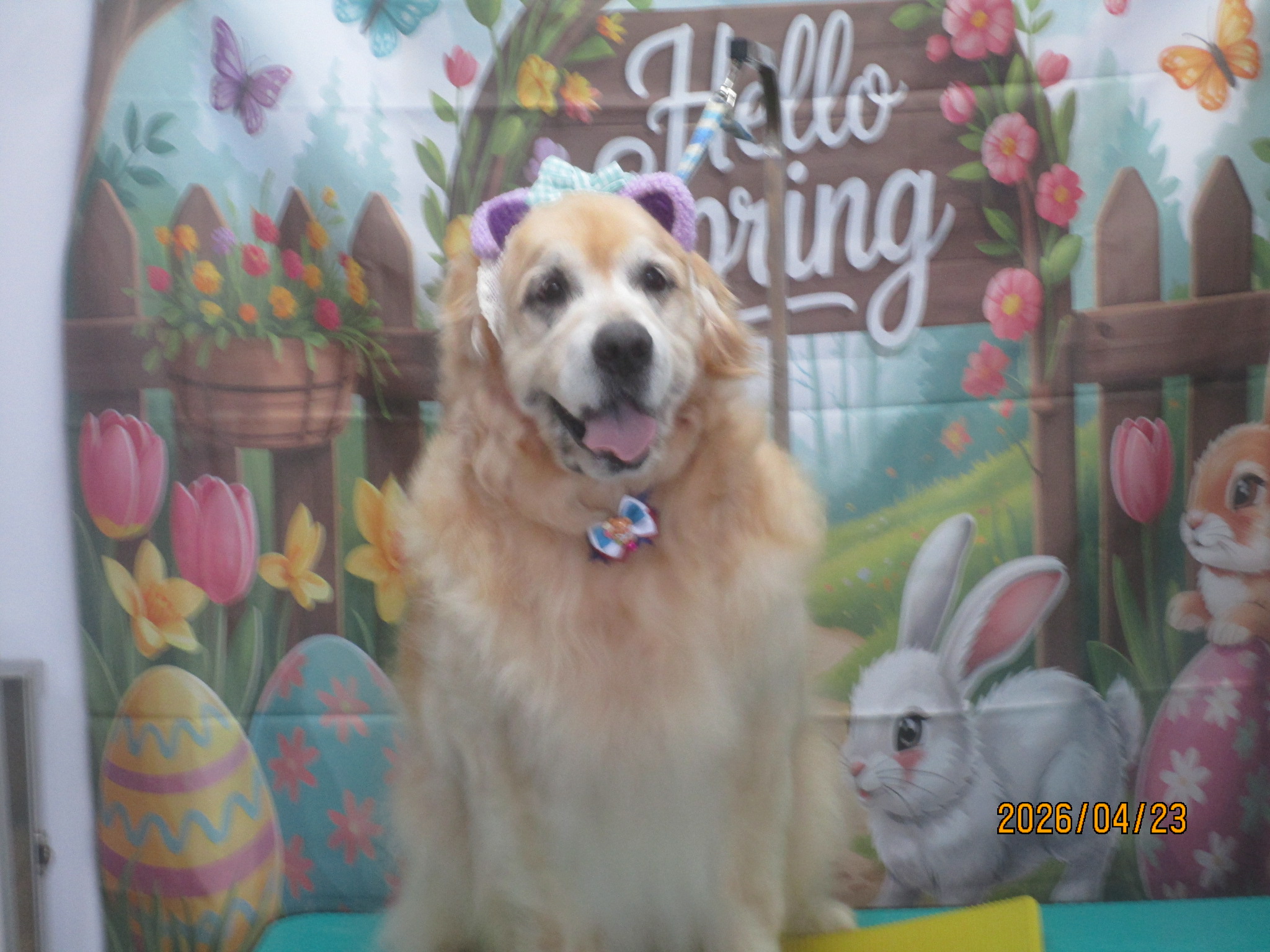 大和くん（Ⅴ）