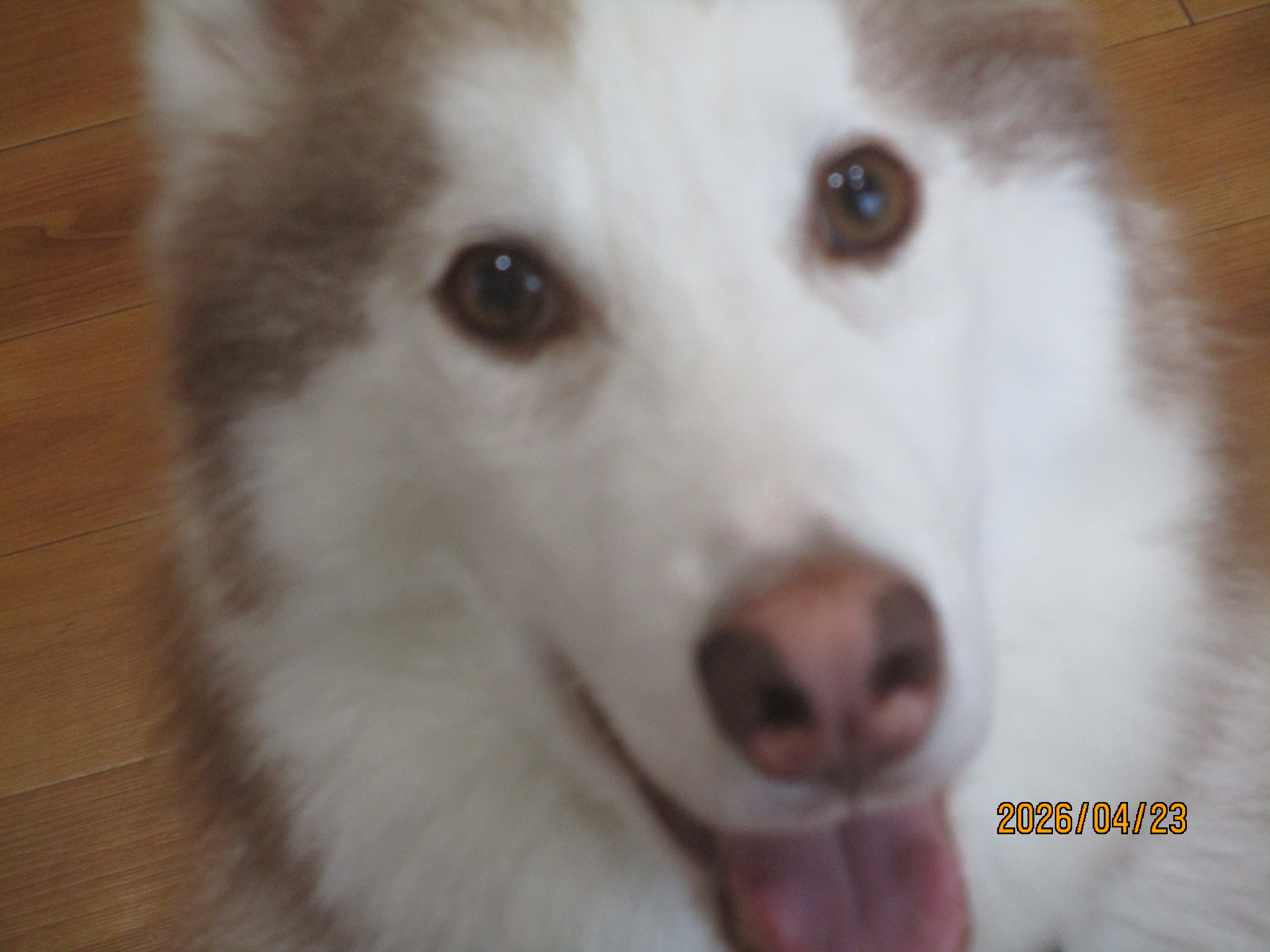 暖くん（１０）