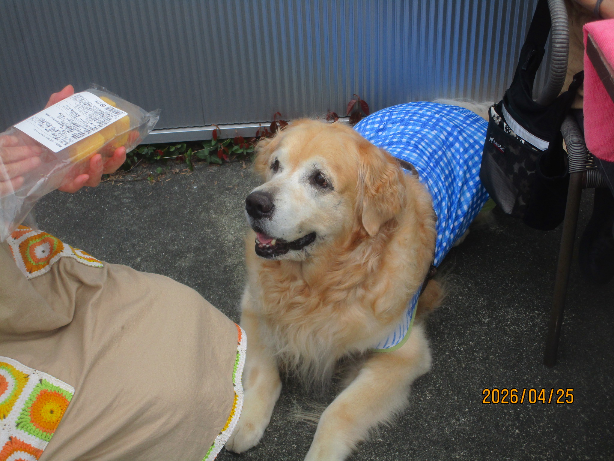 大和くん（Ⅴ）