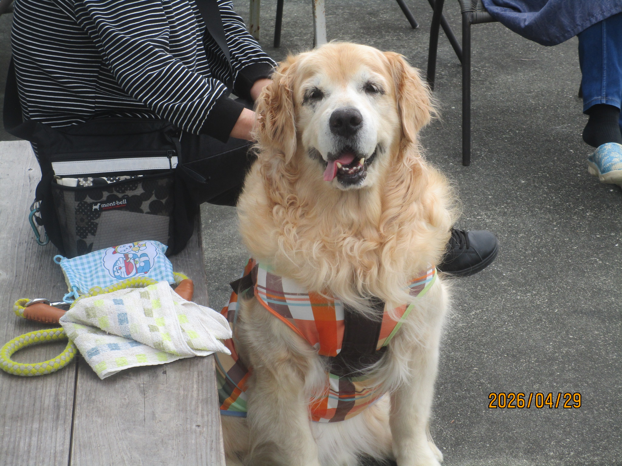 大和くん（Ⅴ）