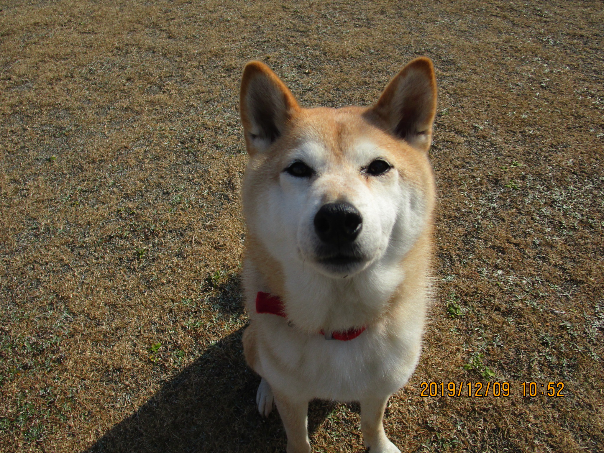 N・ななちゃん（２１）（H・2）