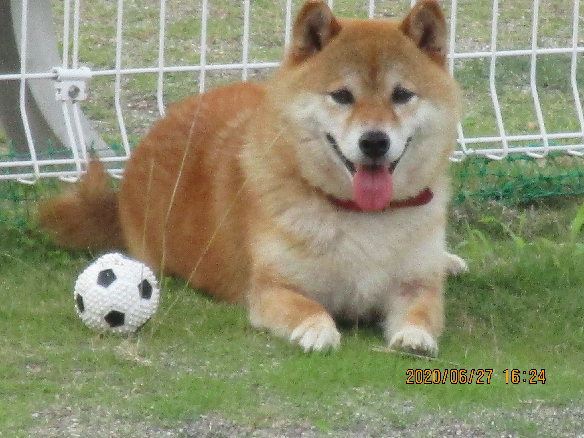 A・ナナちゃん(17)(H・1）