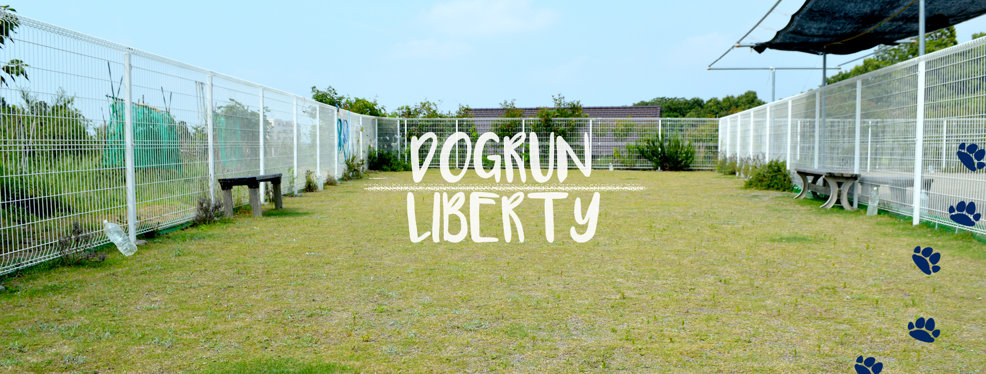 ドッグランLIBERTY